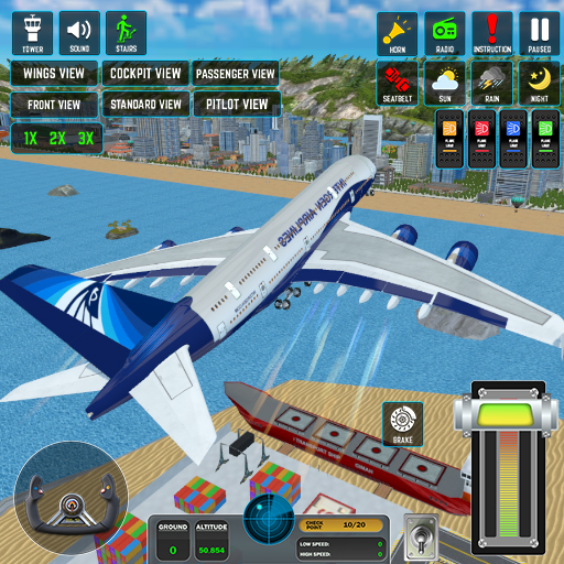 Passenger Airplane Flight 3d